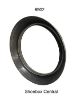 6902 Frenched Headlight Rings Traditional Rear View.jpg